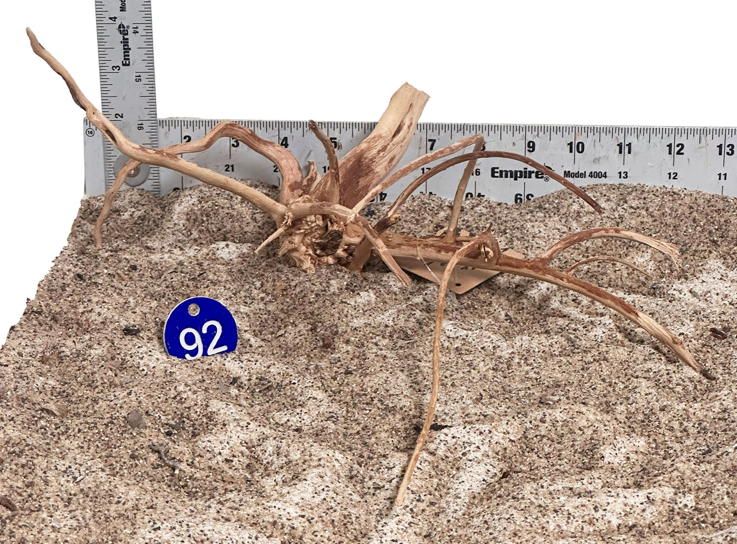 WYSIWYG 92BU - 260520 - Weathered Spider Wood (Small)