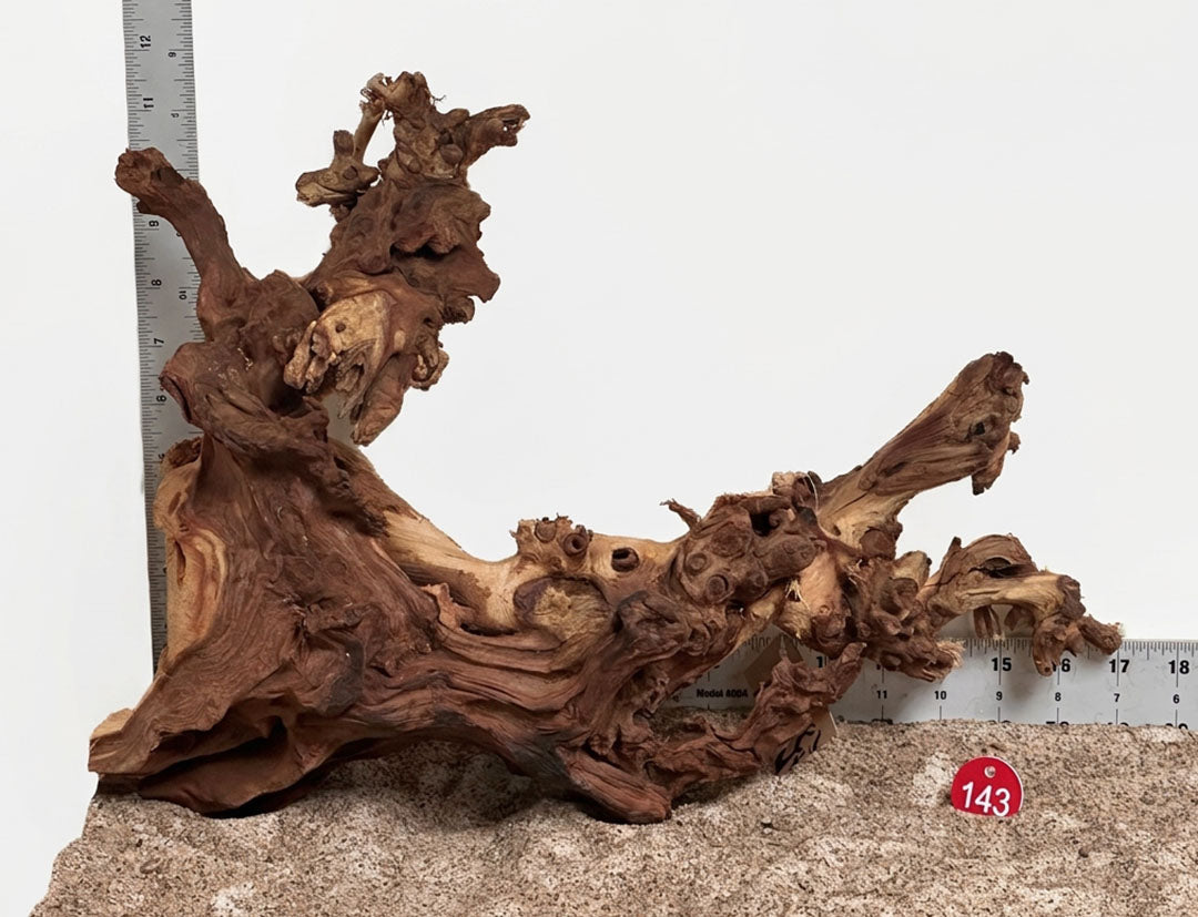 WYSIWYG 143RD - 261027 - Gnarly Wood (L)