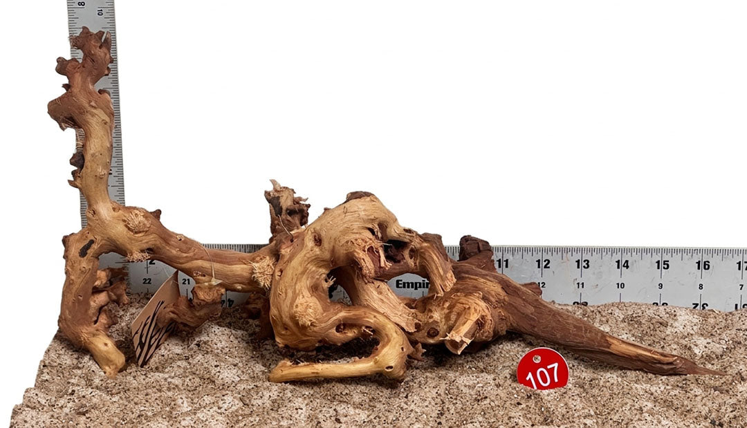WYSIWYG 107RD - 261027 - Gnarly Wood (M)