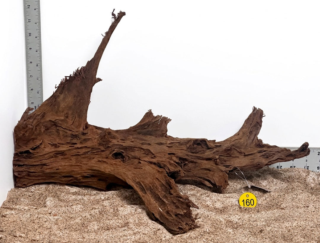 WYSIWYG 160Y - 261027 - Malaysian Mangrove Wood (L)