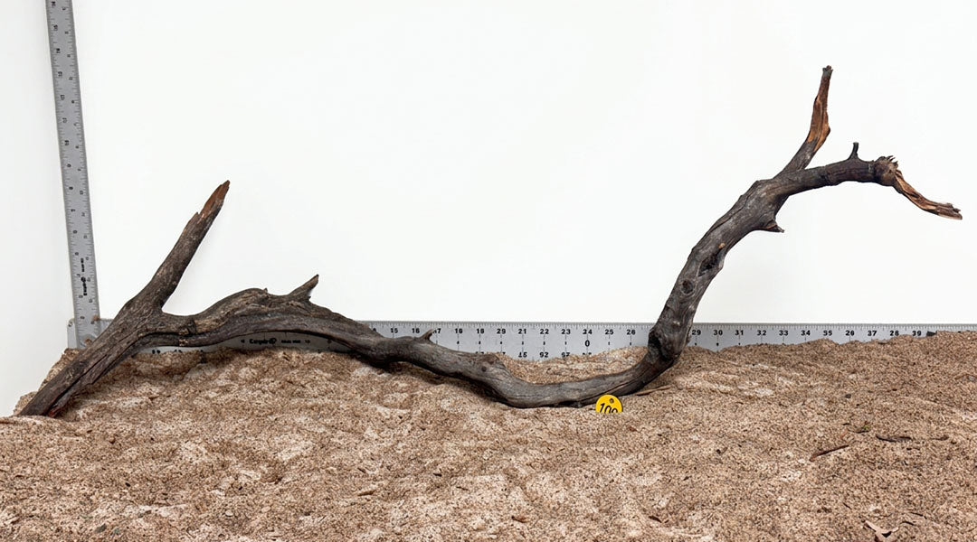 WYSIWYG 100Y - 261027 - Manzanita Wood (2XL)