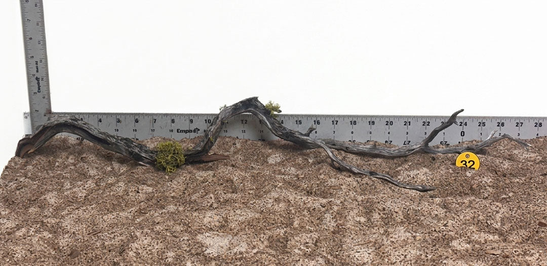 WYSIWYG 32Y - 261027 - Manzanita Wood (XL)
