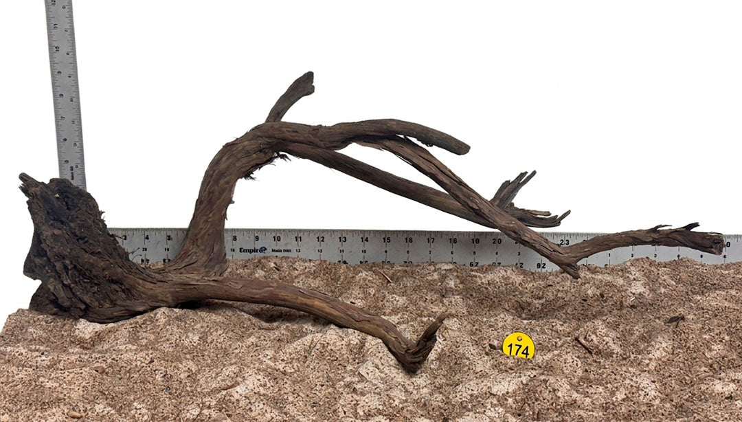 WYSIWYG 174Y - 261027 - Manzanita Wood (XL)