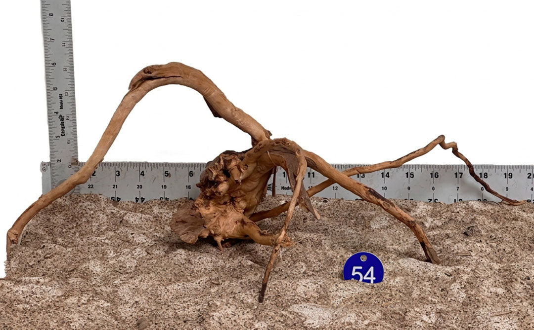 WYSIWYG 54BU - 261027 - Spider Wood (M)