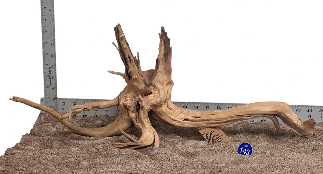 WYSIWYG 143BU - 261027 - Weathered Spider Wood (L)
