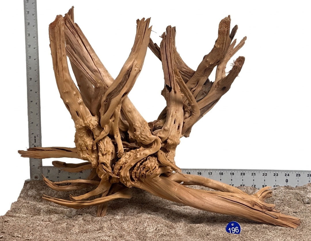 WYSIWYG 196BU - 261027 - Weathered Spider Wood (XL)
