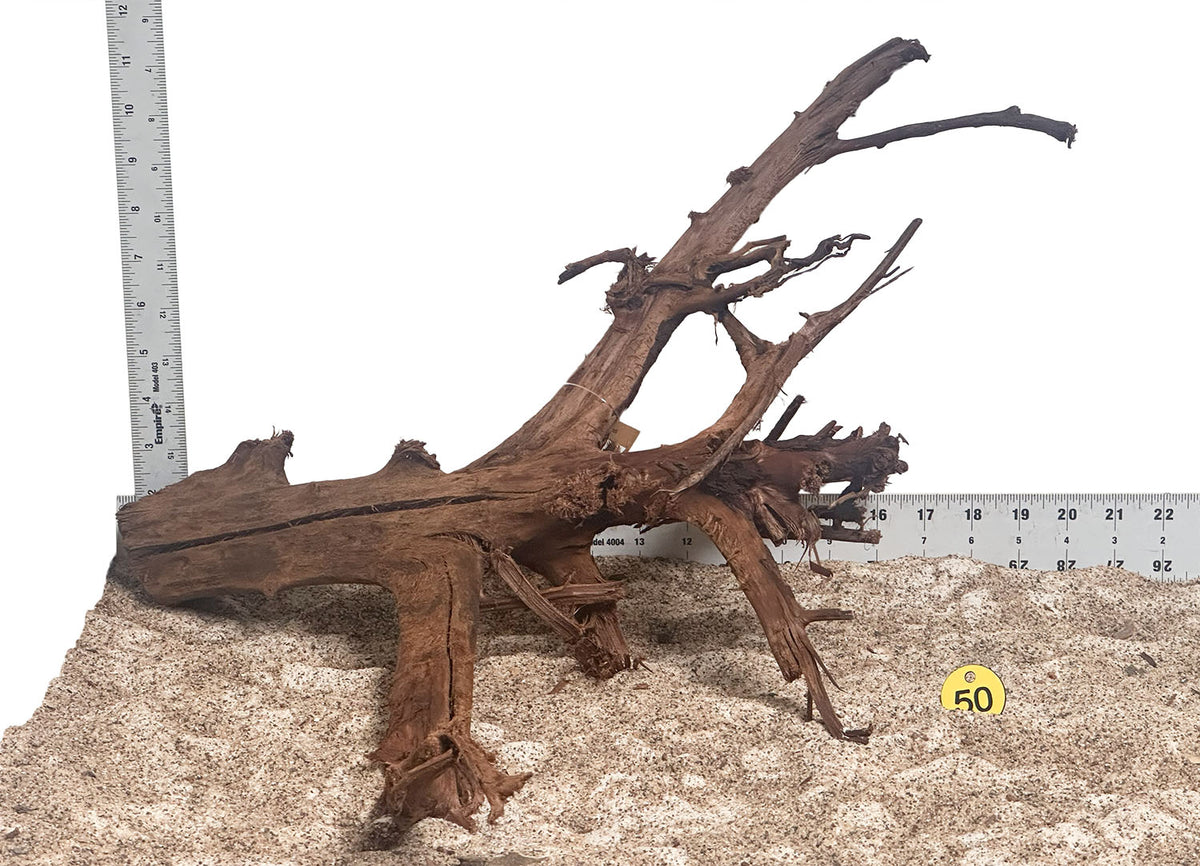 WYSIWYG 50Y - 260916 - Malaysian Mangrove Wood (Large)