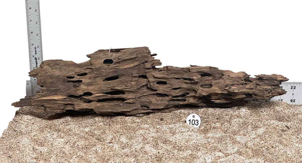 WYSIWYG 103S - 260916 - Ohko Wood (Large)