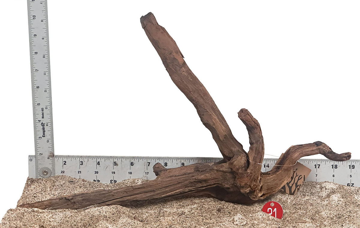 WYSIWYG 21RD - 260916 - Weathered Driftwood (Medium)