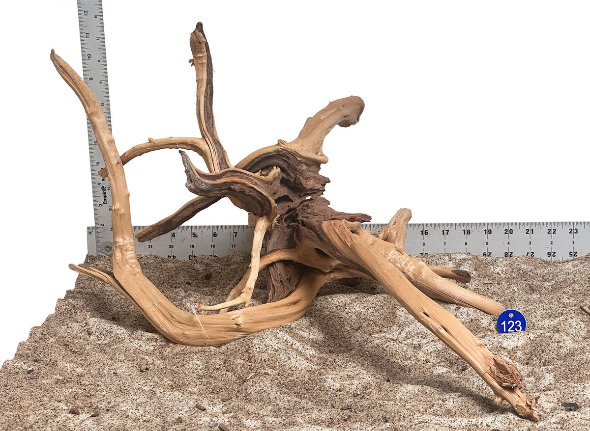 WYSIWYG 123BU - 260916 - Weathered Spider Wood (Large)