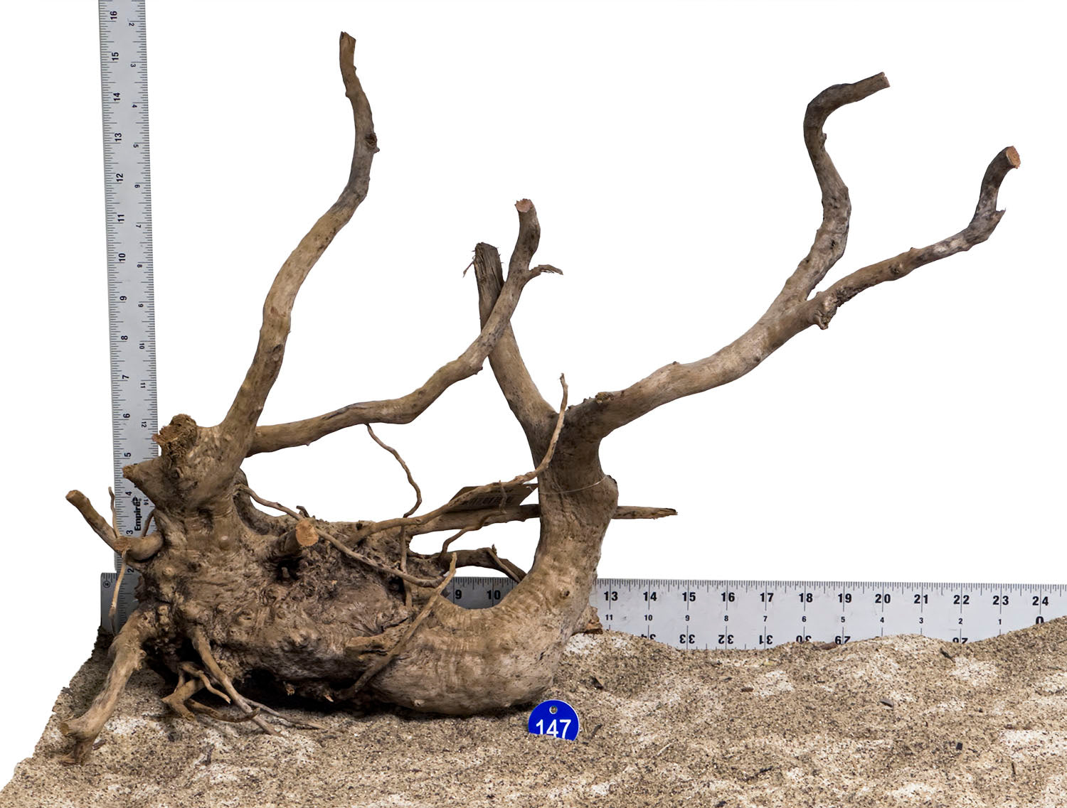 WYSIWYG #147BU - Black Spider Wood (Large)