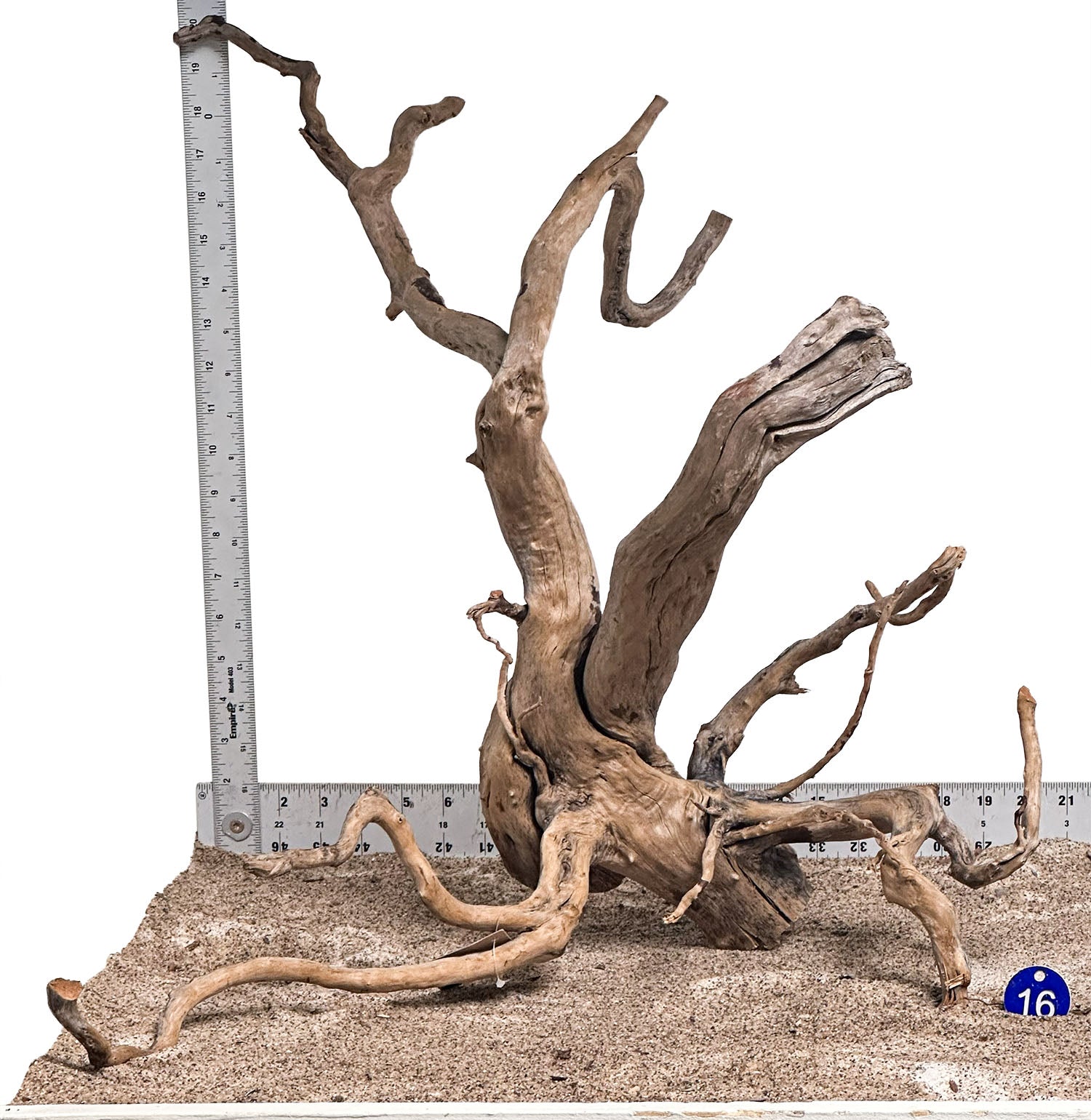 WYSIWYG #16BU - Black Spider Wood (Large)