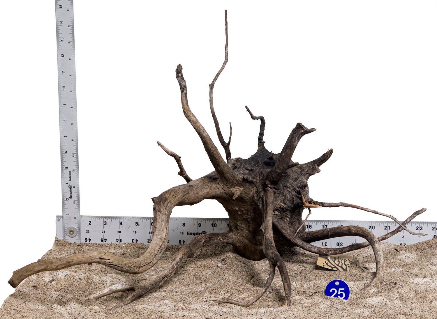 WYSIWYG #25BU - Black Spider Wood (Large)