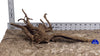 WYSIWYG #151BU - Black Spider Wood (Medium)