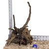 WYSIWYG #35BU - Black Spider Wood (Medium)