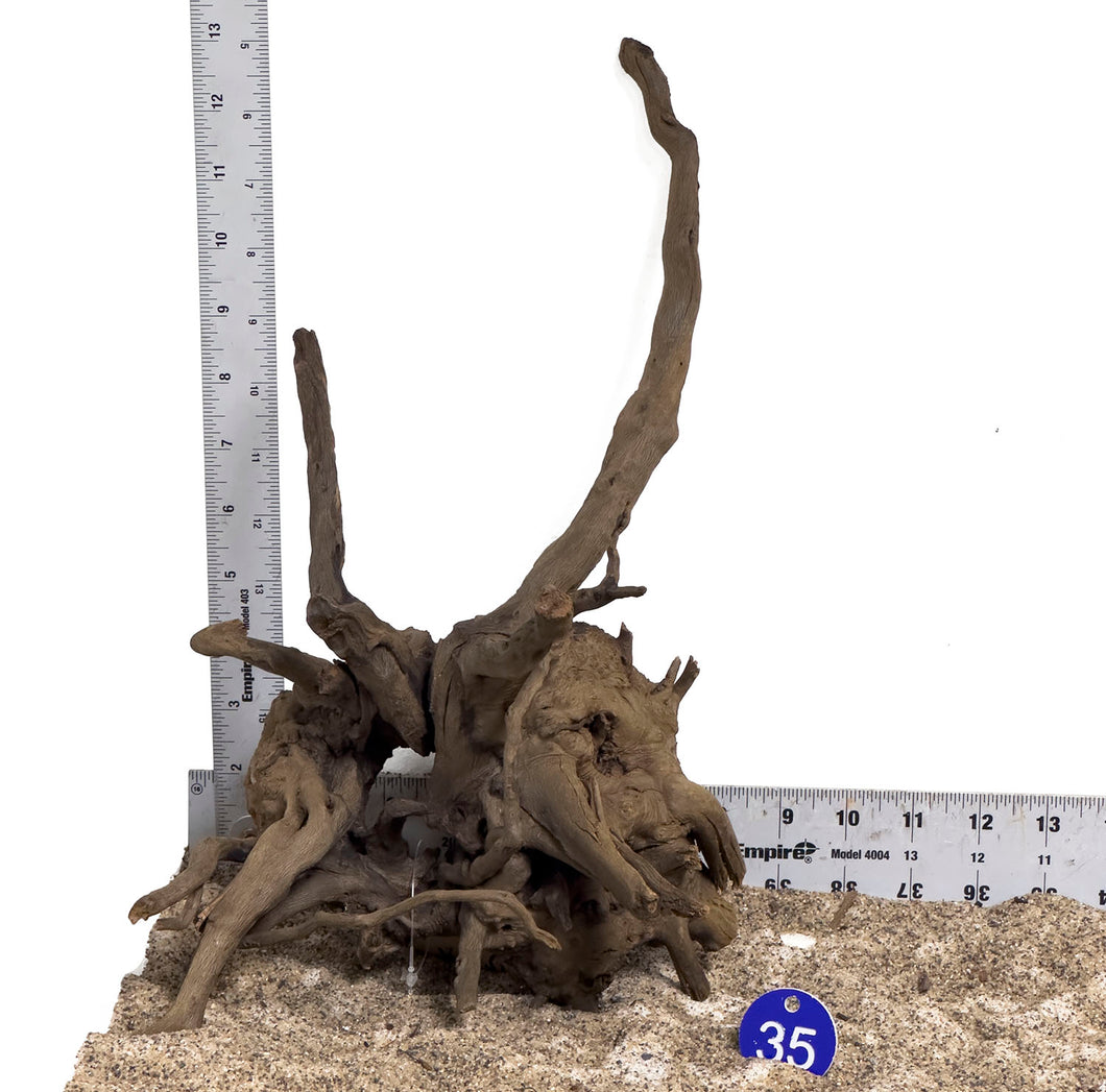 WYSIWYG #35BU - Black Spider Wood (Medium)