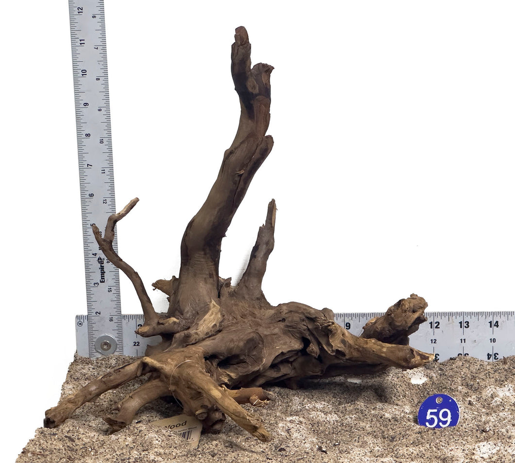 WYSIWYG #59BU - Black Spider Wood (Medium)
