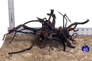 WYSIWYG #85BU - Black Spider Wood (Medium)