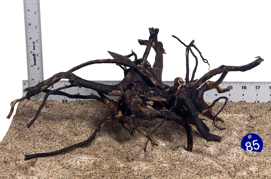 WYSIWYG #85BU - Black Spider Wood (Medium)