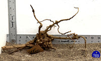 Thumbnail for WYSIWYG #169BU - Black Spider Wood (Small)