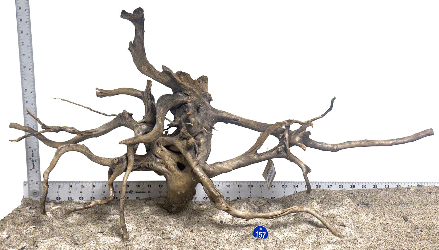 WYSIWYG #157BU - Black Spider Wood (XL)