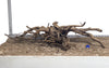 WYSIWYG #173BU - Black Spider Wood (XL)