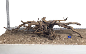 WYSIWYG #173BU - Black Spider Wood (XL)