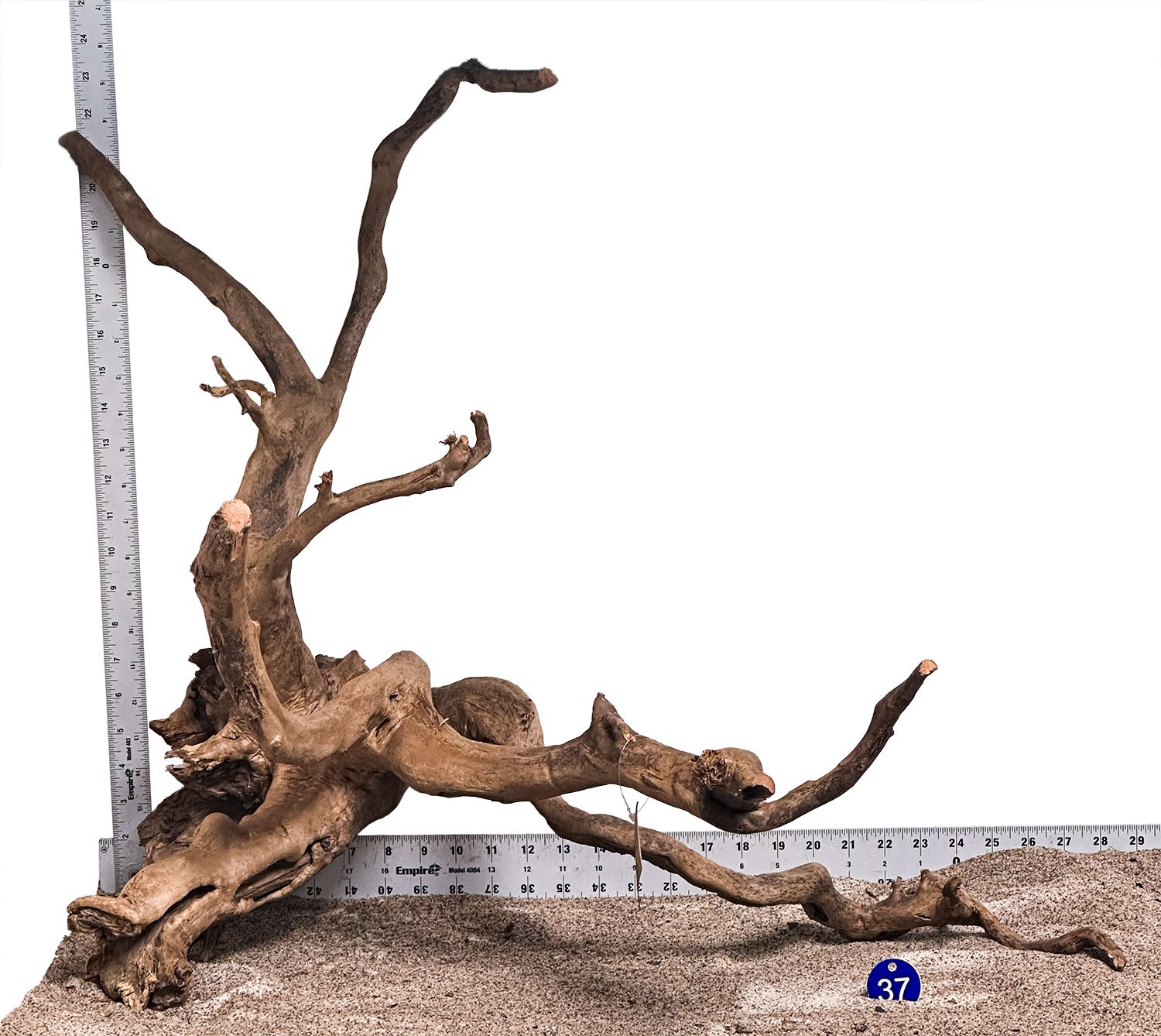 WYSIWYG #37BU - Black Spider Wood (XL)