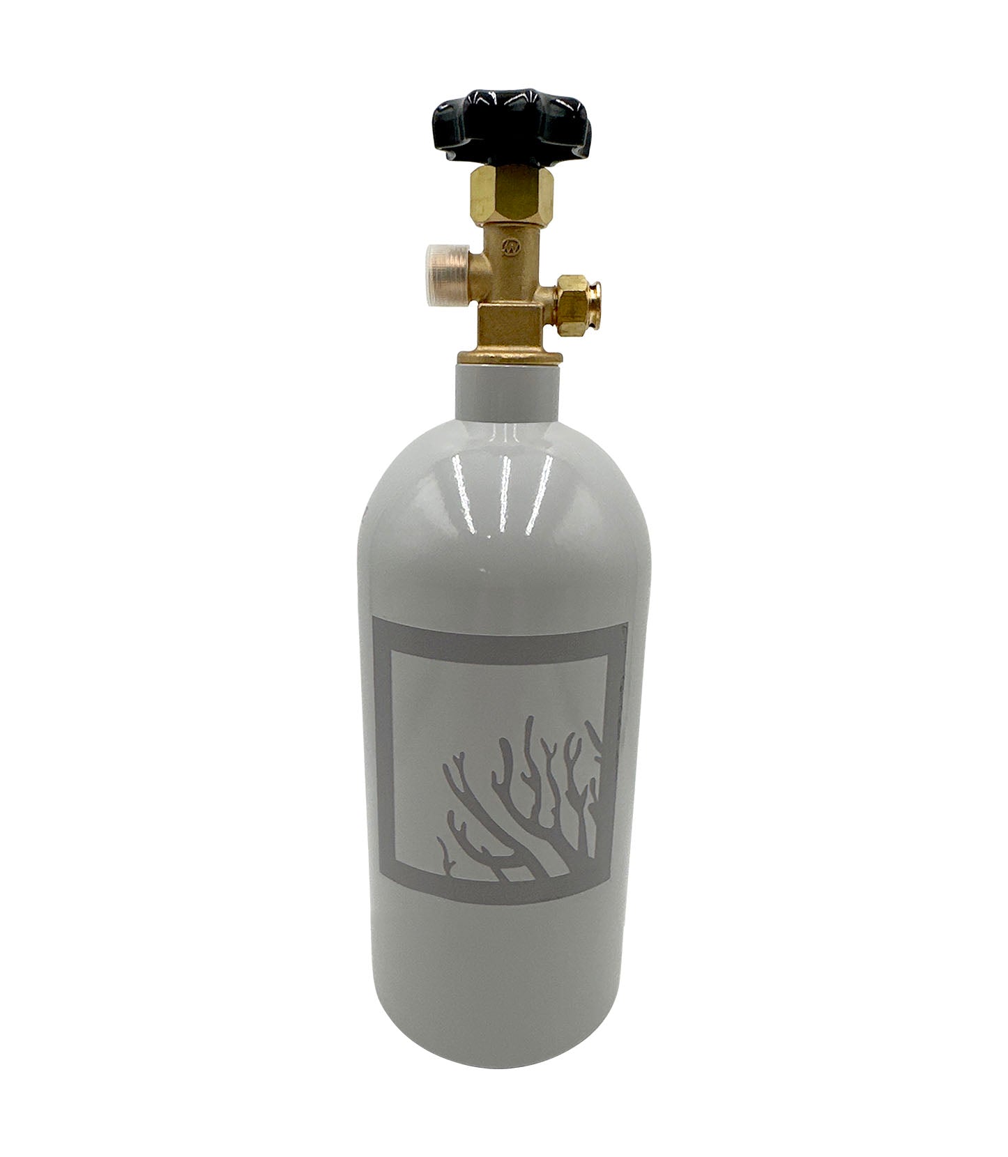 2.5 lbs Aluminum CO2 Bottle
