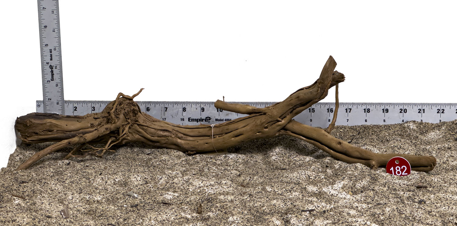 WYSIWYG #182RD - Dragon Wood (Large)