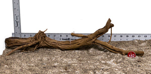 WYSIWYG #182RD - Dragon Wood (Large)