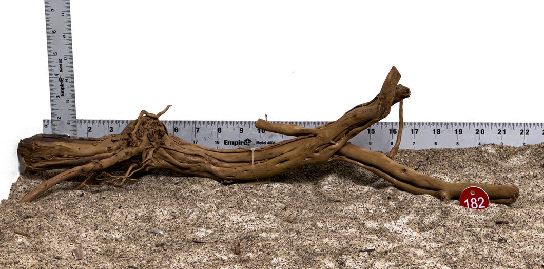 WYSIWYG #182RD - Dragon Wood (Large)