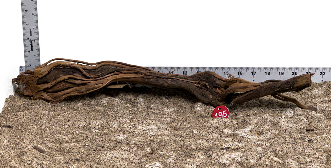 WYSIWYG #195RD - Dragon Wood (Large)