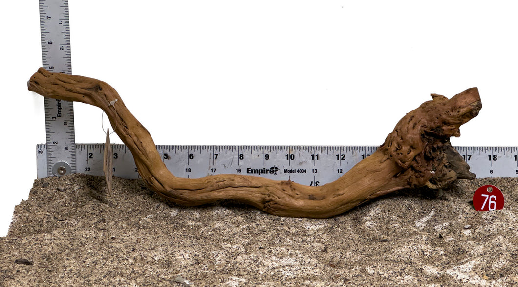 WYSIWYG #76RD - Dragon Wood (Large)