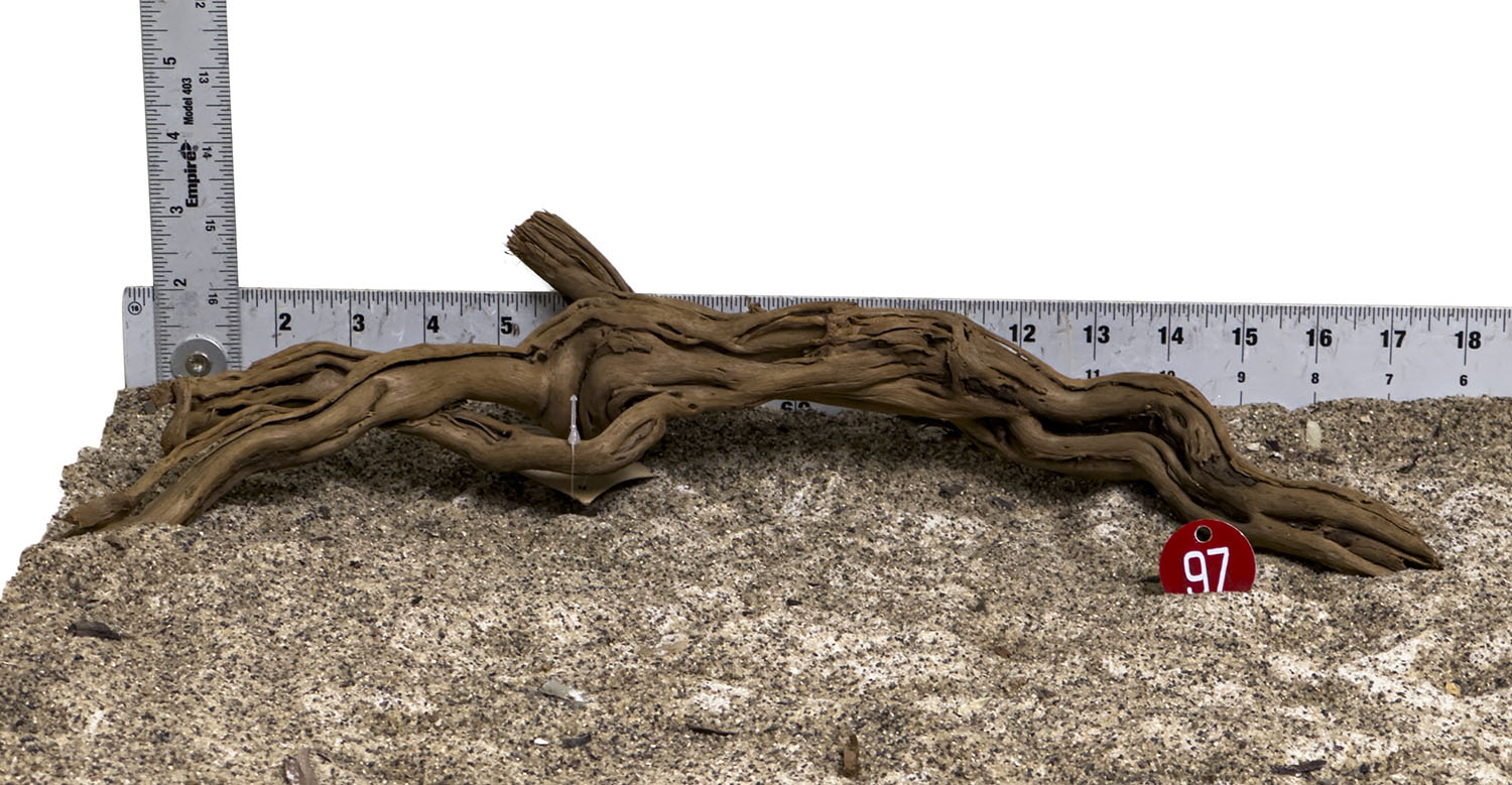 WYSIWYG #97RD - Dragon Wood (Large)