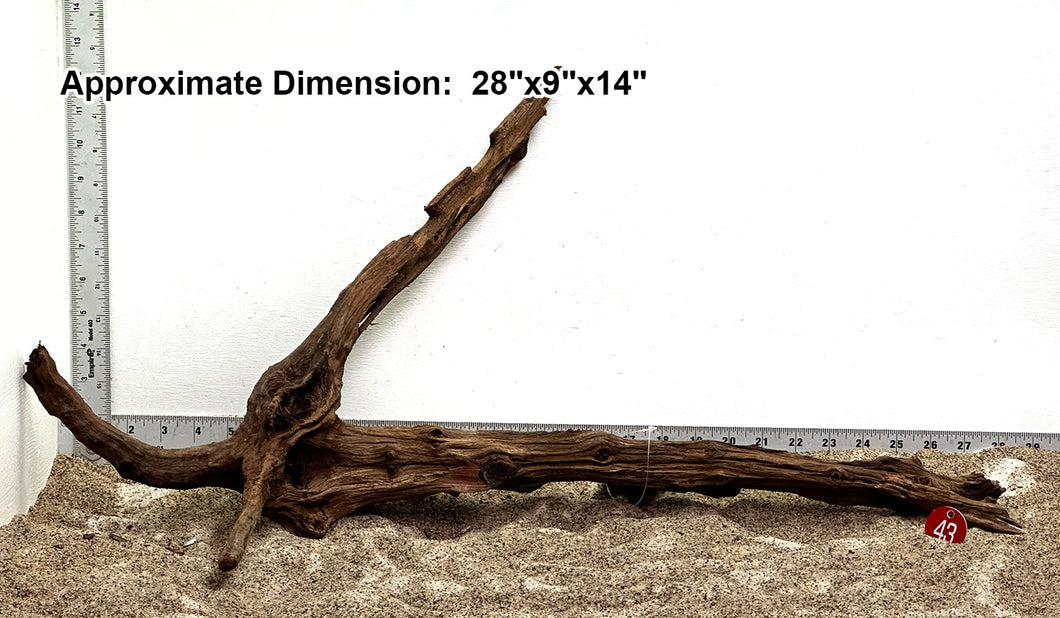 WYSIWYG #43RD - Weathered Driftwood (XL)