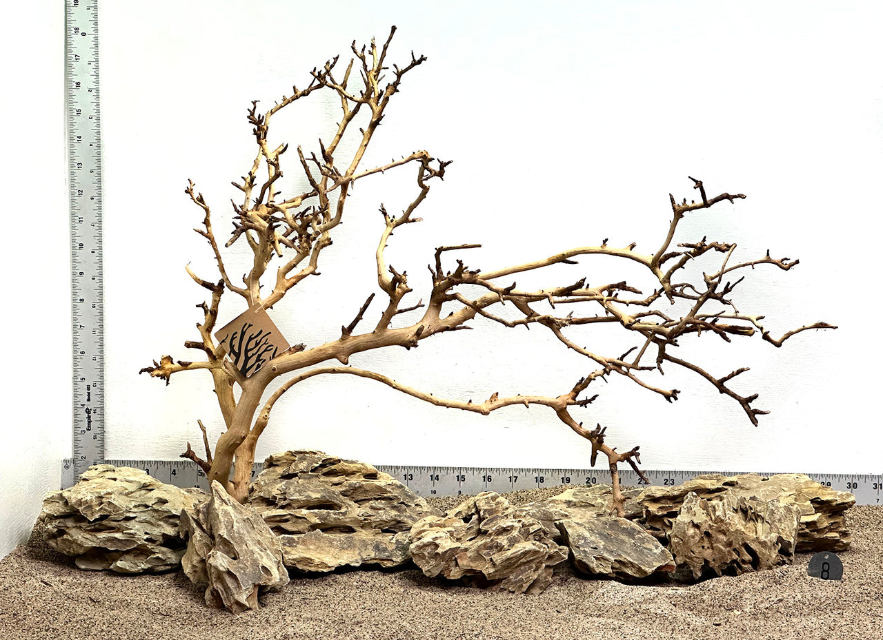 WYSIWYG #8S - Fan Wood and Dragon Stone Scape Combo