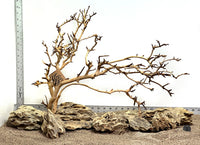 Thumbnail for WYSIWYG #8S - Fan Wood and Dragon Stone Scape Combo