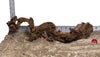 WYSIWYG #112RD - Gnarly Wood (Large)