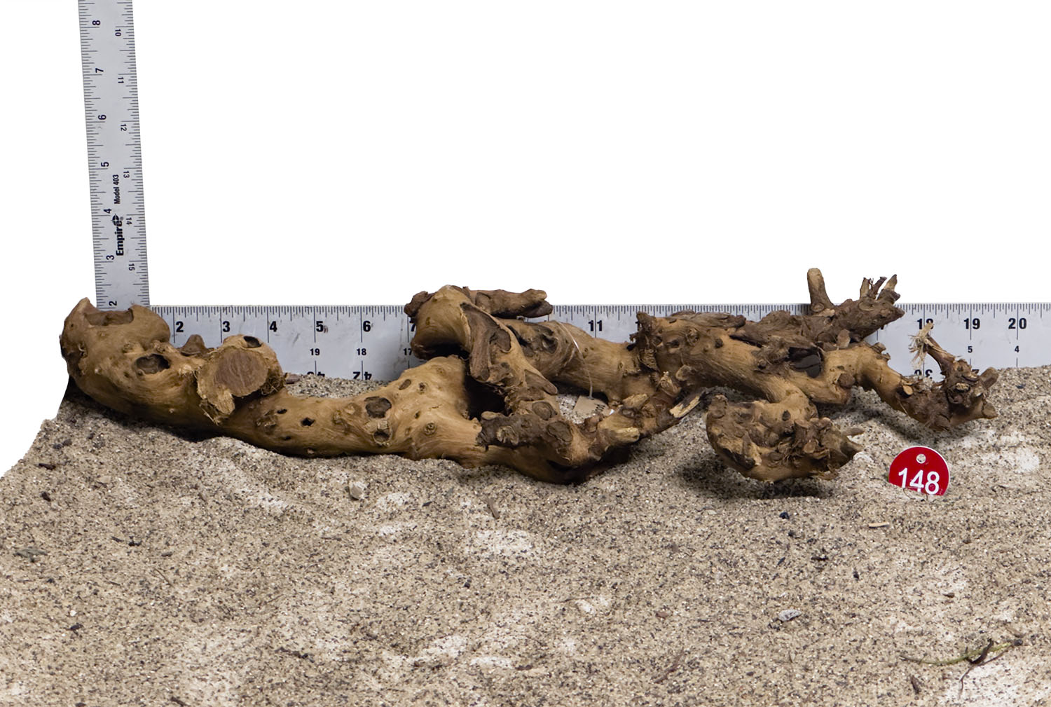 WYSIWYG #148RD - Gnarly Wood (Large)