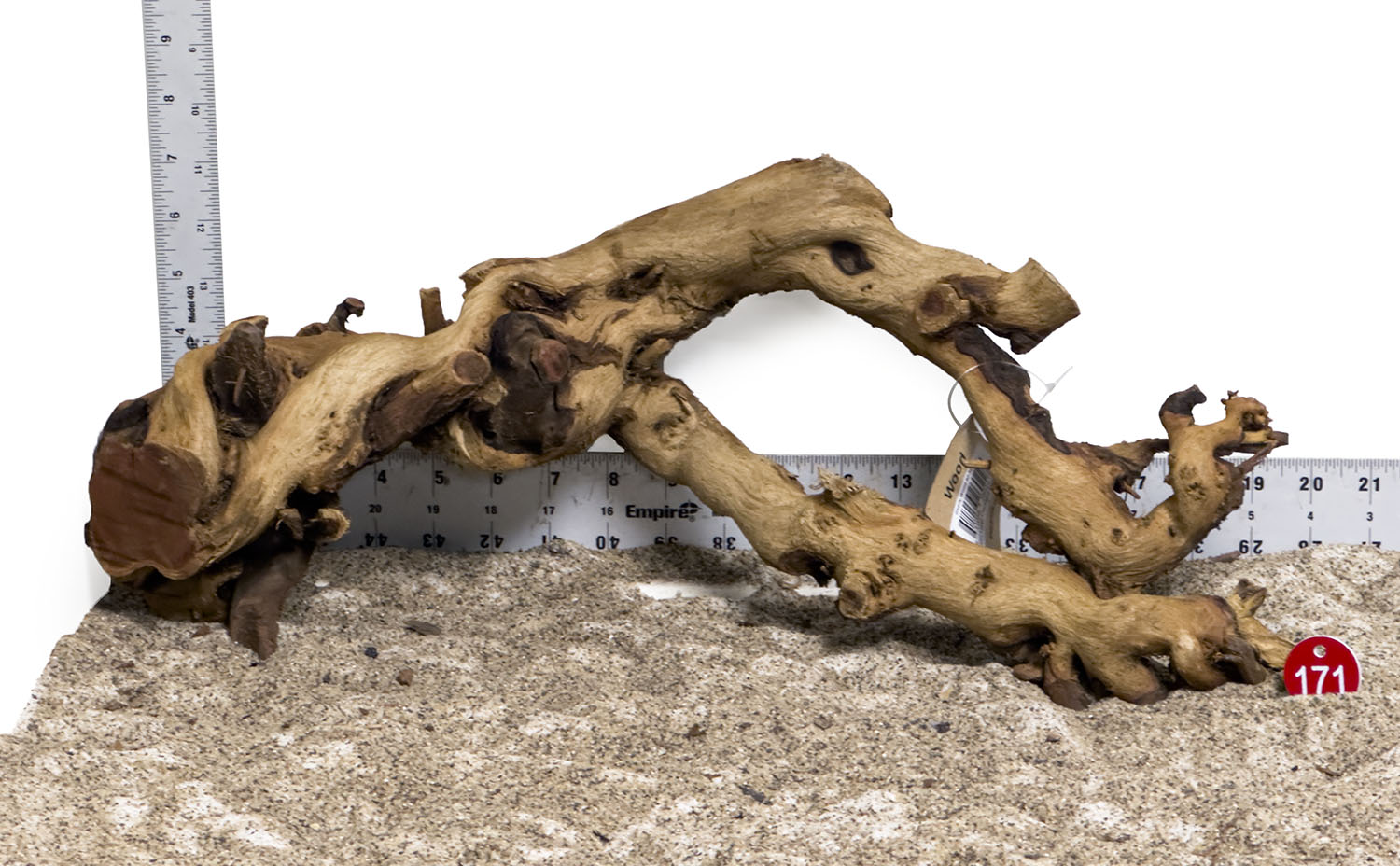 WYSIWYG #171RD - Gnarly Wood (Large)