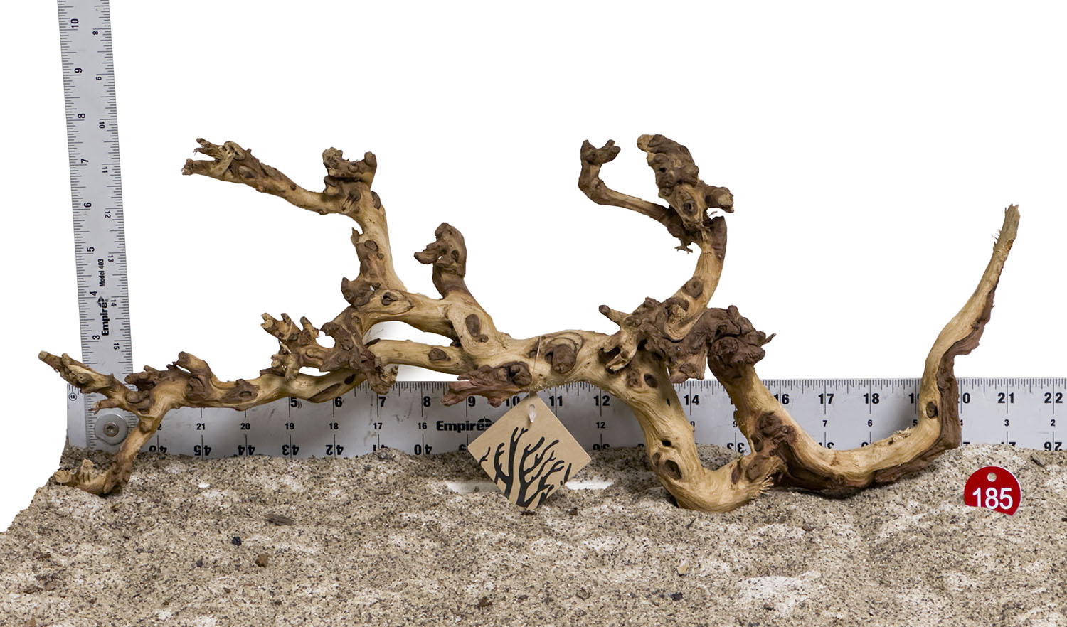 WYSIWYG #185RD - Gnarly Wood (Large)