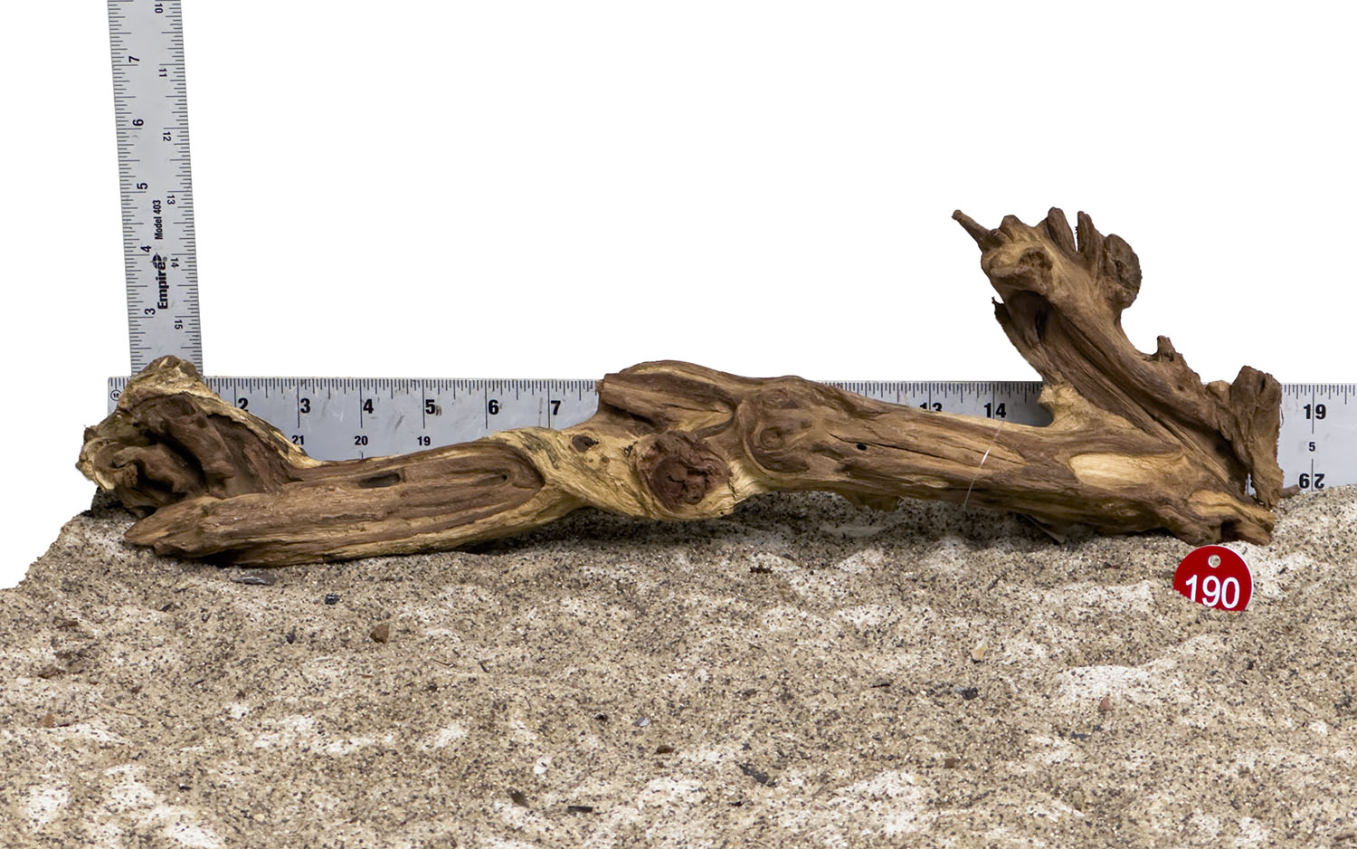 WYSIWYG #190RD - Gnarly Wood (Large)