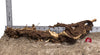 WYSIWYG #80RD - Gnarly Wood (Large)
