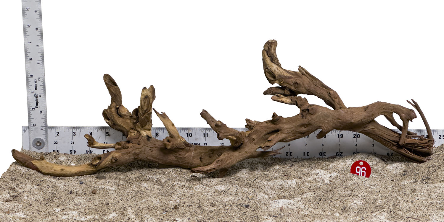 WYSIWYG #96RD - Gnarly Wood (Large)