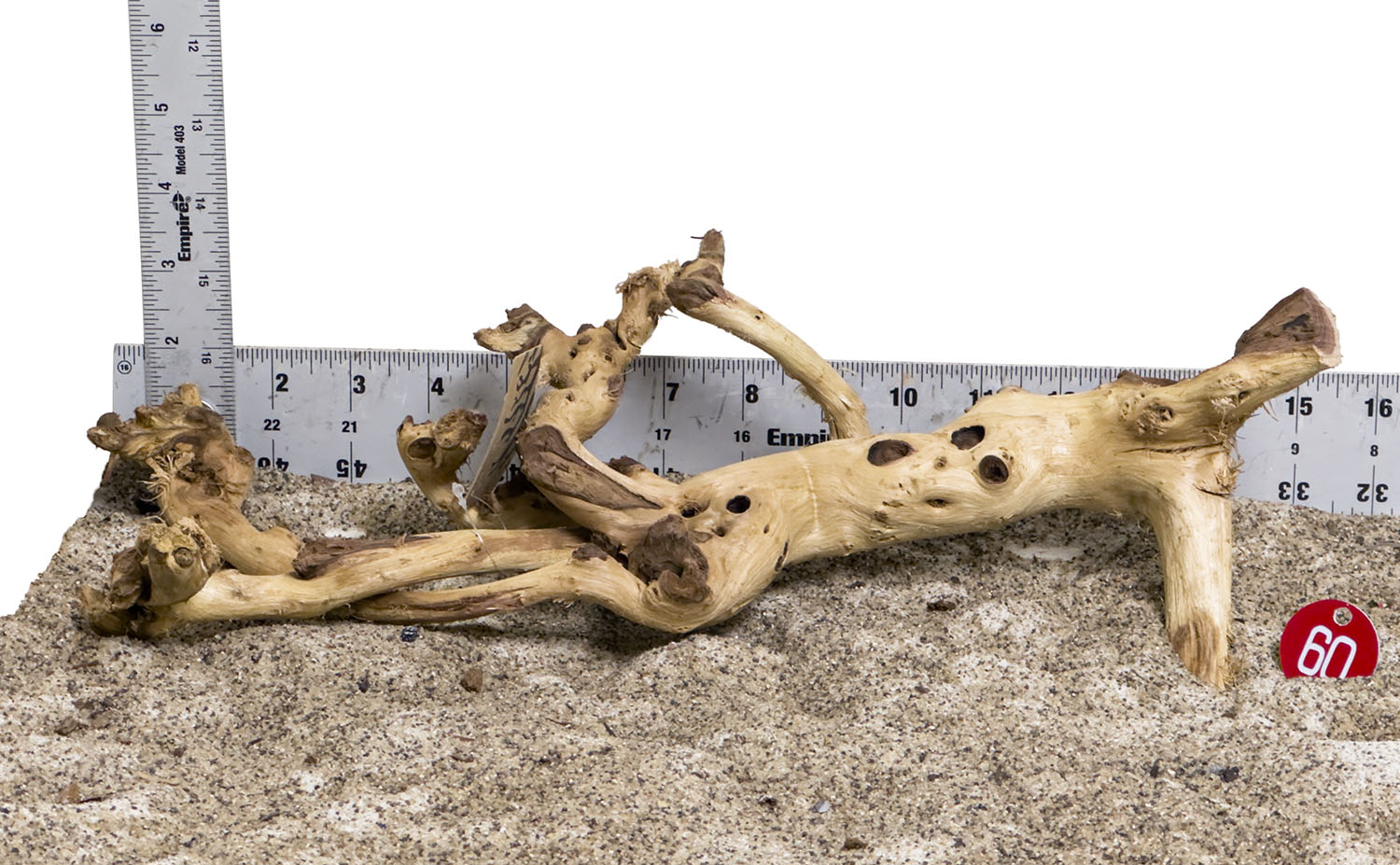 WYSIWYG #60RD - Gnarly Wood (Medium)