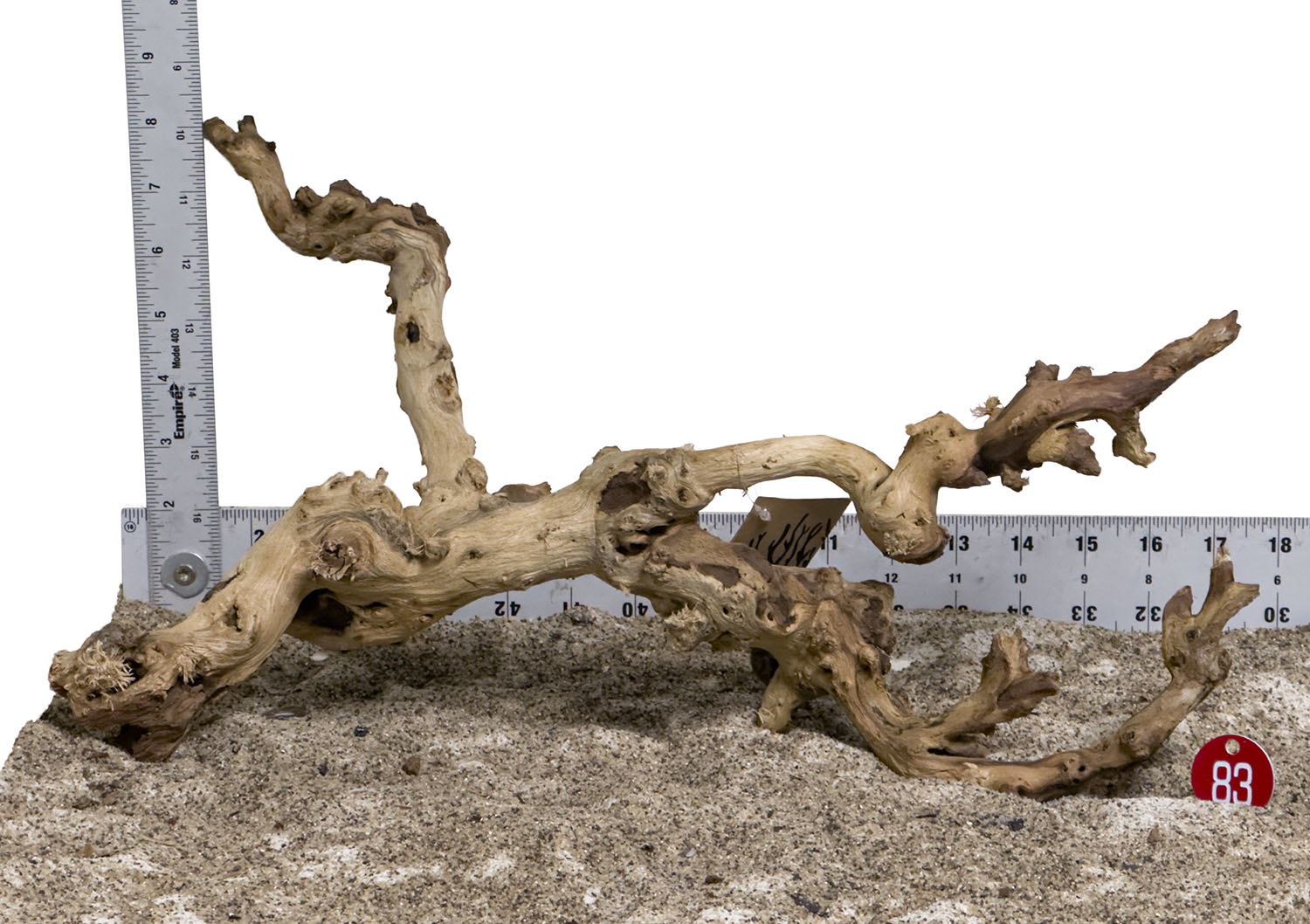 WYSIWYG #83RD - Gnarly Wood (Medium)