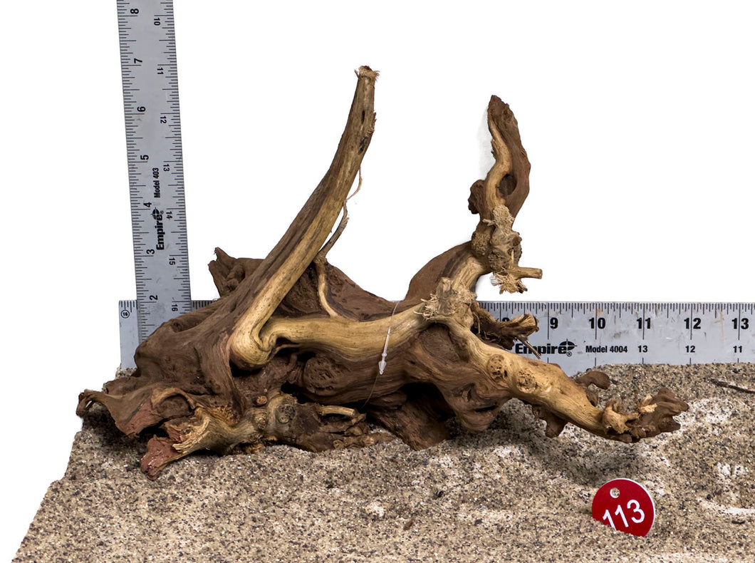 WYSIWYG #113RD - Gnarly Wood (Small)