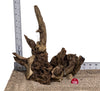 WYSIWYG #186RD - Gnarly Wood (Small)