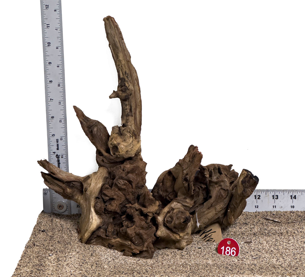 WYSIWYG #186RD - Gnarly Wood (Small)
